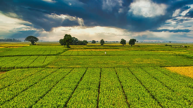 Agriculture finance Agriculture finance